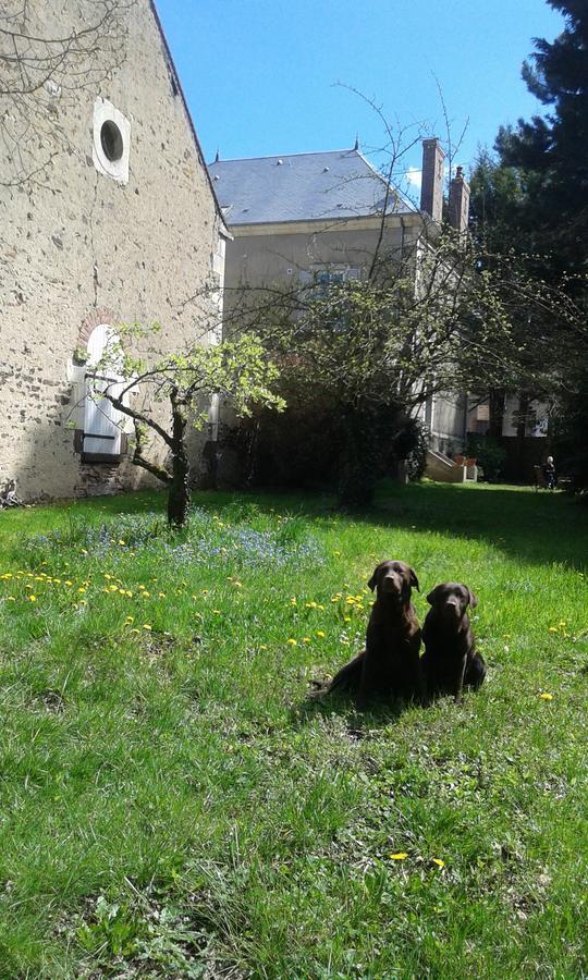 La Sauldre Bed and Breakfast Vailly-sur-Sauldre Eksteriør billede